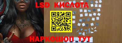 спиды Новодвинск
