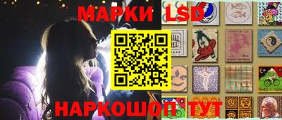 спиды Новодвинск