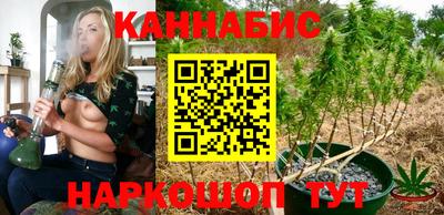 спиды Новодвинск