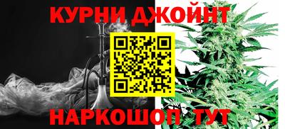 молекула духа Новозыбков