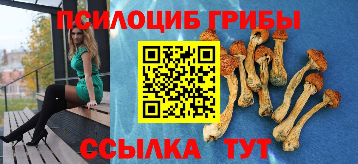 Аксай  Галлюциногенные грибы Psilocybine cubensis  Галлюциногенные грибы ЛСД  Вход с VPN 